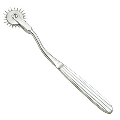 瓦滕堡神經(jīng)滾刺輪